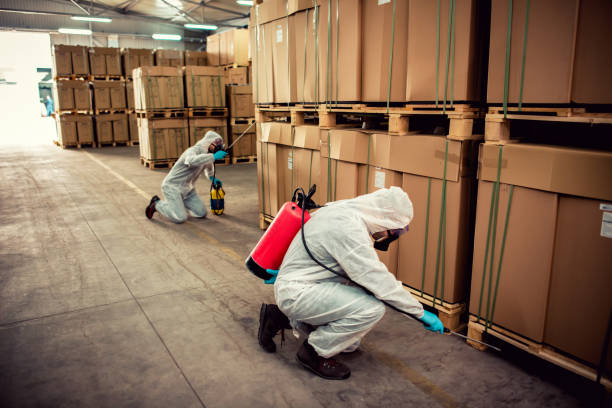 Best Bed Bug Extermination  in Hood River, OR
