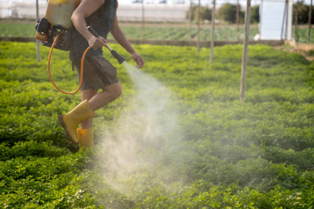Best Local Pest Control Services  in Hood River, OR